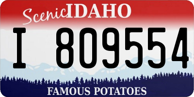 ID license plate I809554