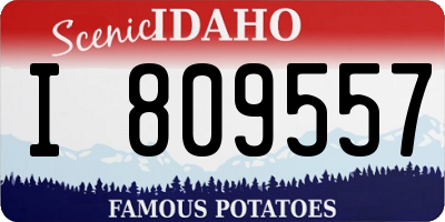 ID license plate I809557