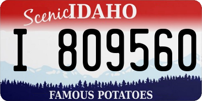 ID license plate I809560