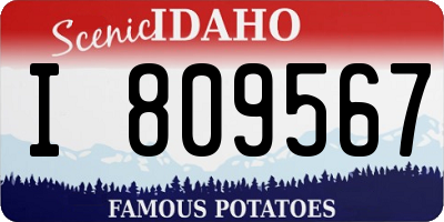 ID license plate I809567