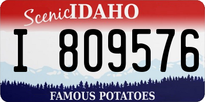 ID license plate I809576