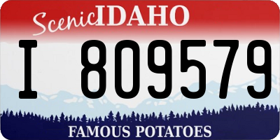 ID license plate I809579