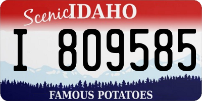 ID license plate I809585