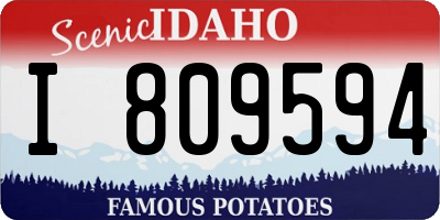 ID license plate I809594