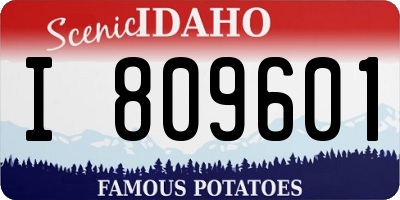 ID license plate I809601