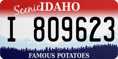 ID license plate I809623