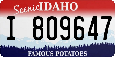 ID license plate I809647