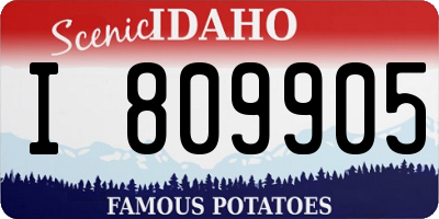 ID license plate I809905