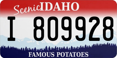 ID license plate I809928