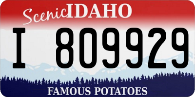 ID license plate I809929