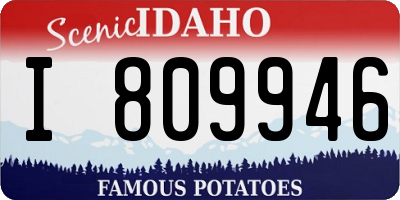 ID license plate I809946