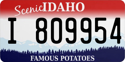 ID license plate I809954