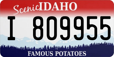 ID license plate I809955