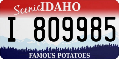 ID license plate I809985