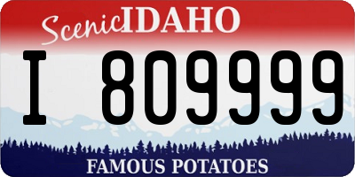 ID license plate I809999