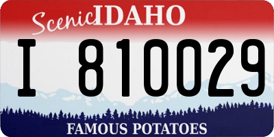 ID license plate I810029