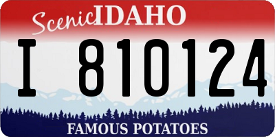 ID license plate I810124