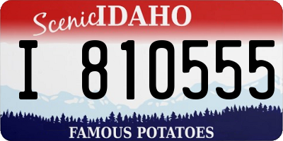 ID license plate I810555