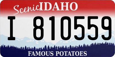 ID license plate I810559