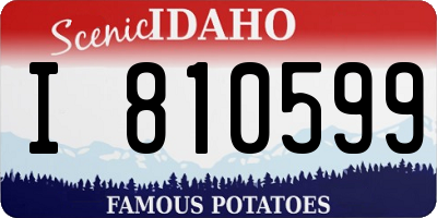 ID license plate I810599