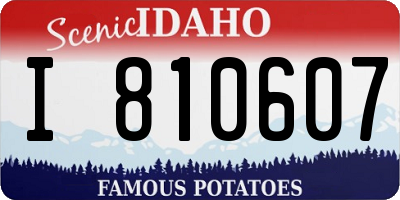 ID license plate I810607