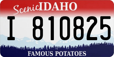 ID license plate I810825