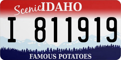 ID license plate I811919