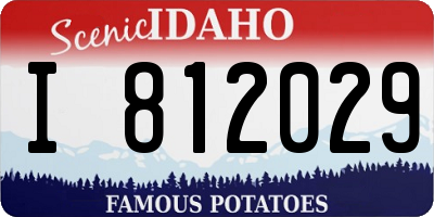 ID license plate I812029