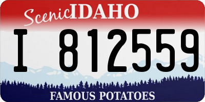 ID license plate I812559