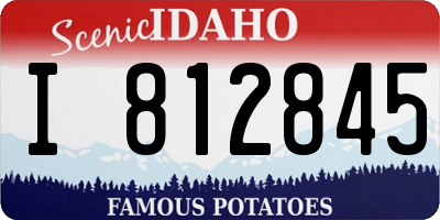 ID license plate I812845