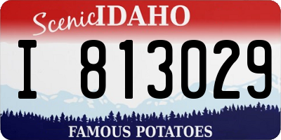 ID license plate I813029