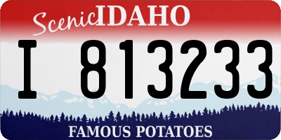 ID license plate I813233