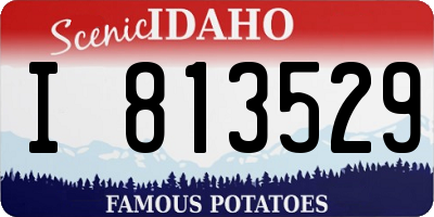 ID license plate I813529