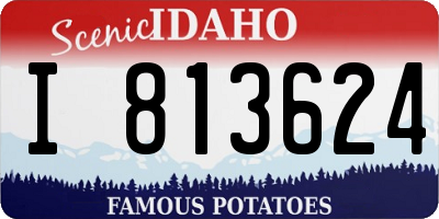 ID license plate I813624