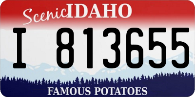 ID license plate I813655