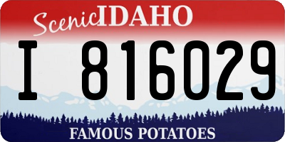 ID license plate I816029