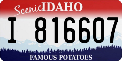 ID license plate I816607