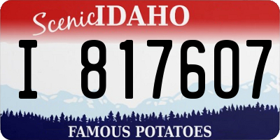 ID license plate I817607