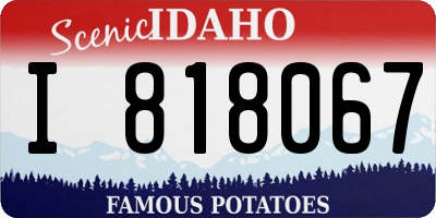 ID license plate I818067
