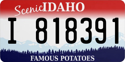 ID license plate I818391