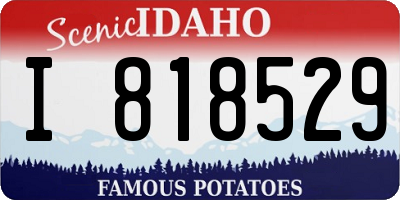 ID license plate I818529