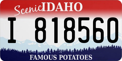 ID license plate I818560