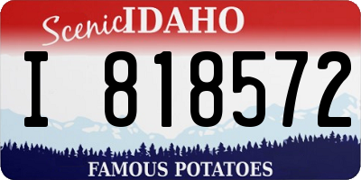 ID license plate I818572