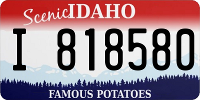 ID license plate I818580