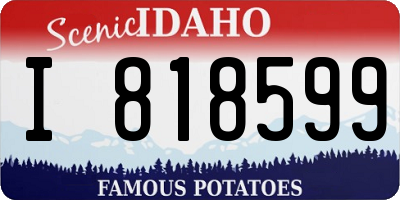 ID license plate I818599