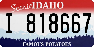 ID license plate I818667