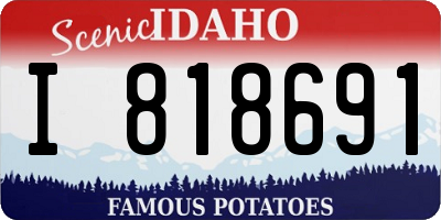 ID license plate I818691