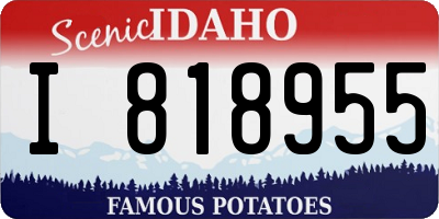 ID license plate I818955