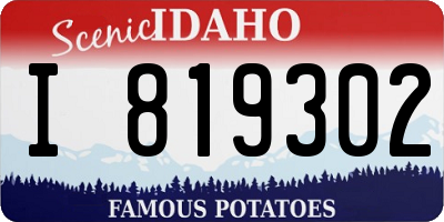 ID license plate I819302