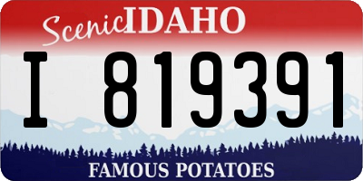 ID license plate I819391